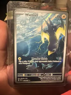 2024 POKEMON TWM EN-TWILIGHT MASQUERADE 178 WATTREL ILLUSTRATION RARE - Image 1