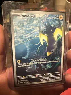 2024 POKEMON TWM EN-TWILIGHT MASQUERADE 178 WATTREL ILLUSTRATION RARE - Image 2