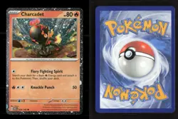 Charcadet 026/182 Holo Miscellaneous Cards & Products NM/M Pokemon - Image 3