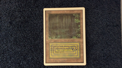 BAYOU 1993 UNLIMITED EDITION Magic the Gathering - Image 2