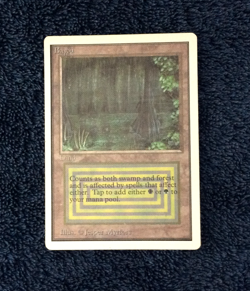 BAYOU 1993 UNLIMITED EDITION Magic the Gathering - Image 4