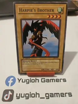Yu-Gi-Oh Harpie's Brother SDJ Common Light Played - Image 1