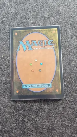 MTG x Final Fantasy: Traveling Chocobo Japanese Borderless Foil #406 - Image 2