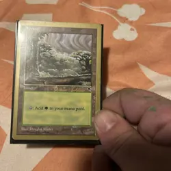 Autographed Gold Border Land MTG Special Edition Magic The Gathering Card - Image 1
