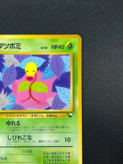 [NM] Bellsprout Pokemon Card Japanese No.069 Vending Series Vintage Glossy 23M38 - Image 5