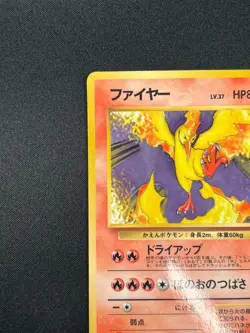 [LP]Moltres Pokemon Card Japanese No.146 Quick Starter Gift Vintage Glossy 23M34 - Image 4