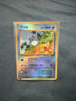 Open Japanese Pokemon Southern Island Tropical Island Sea Set - SEE PICS - Image 3