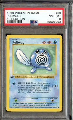 Poliwag Common 1st Shadowless Base Set 59/102 PSA 8 NM-MT English Pokemon - Image 1