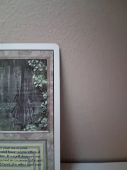 Bayou - Revised - Moderately Played MP (Tiny Ink Mark) MTG - Image 4