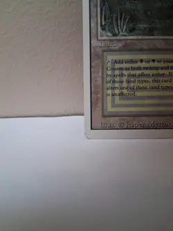 Bayou - Revised - Moderately Played MP (Tiny Ink Mark) MTG - Image 5