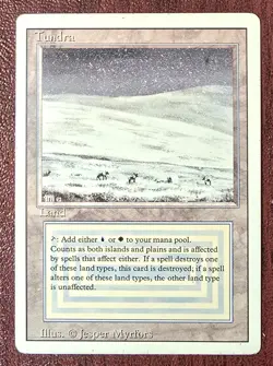 Tundra - MtG Revised/3rd Edition - Rare MP 1994 (c2) - Image 2