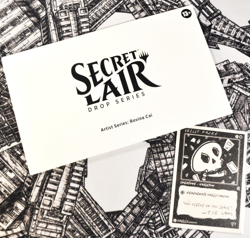 Artist Series: Rovina Cai - Magic the Gathering Secret Lair, MTG Sealed - Image 1