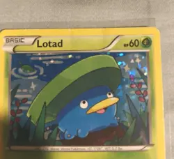 Pokemon TCG Lotad 002/012 McDonald's 2015 Holo MP Card - Image 2