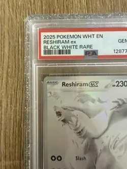 Pokemon Reshiram EX Holo Black White Rare Sv: White Flare 173/086 PSA 10 2025 - Image 4