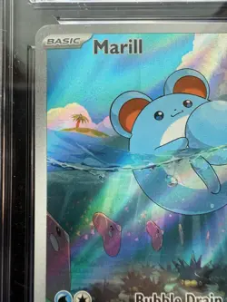 Pokemon Marill Illustration Rare From Paldea Evolved 204/193 CGC 10 - Image 3