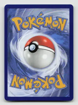 RAIHAN 202/203 Ultra Rare Holo Pokemon EVOLVING SKIES - Image 2