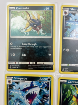4 Card Lot carvanha sharpedo common Reverse Holo Pokemon TCG - Image 2