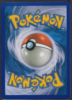 Despotar 30/100 Holo Rare Lv 61 - Sturmtief - DE - NM/EXC - Pokemon TCG Karte - Image 2