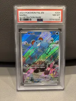 Pokemon TCG Marill Paldea Evolved Illustration Rare Holo 204/193 PSA 8 (2023) - Image 1