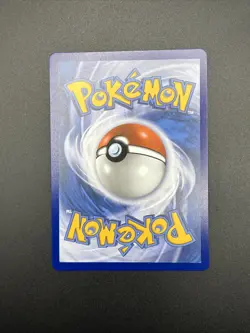 Snorunt 227/217 Pokemon TCG Ascended Heroes Holo Illustration Rare NM - Image 2
