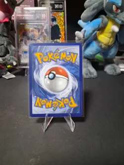 Pokemon Squirtle 039 First Partner Illustration Full Art Holo Promo - Image 2