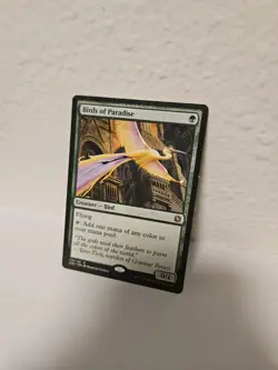 Birds of Paradise Conspiracy: Take the Crown Regular - Image 1