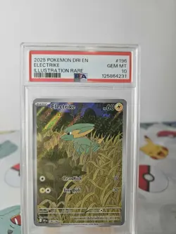 Pokemon TCG Electrike 196/182 Illustration Rare Psa 10 - Image 1
