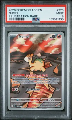 2026 Pokemon Ascended Heroes Numel 223/217 Illustration Rare PSA 9 - Image 1
