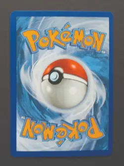 Lileep 145/142 - Stellar Crown Pokemon TCG - NM - Image 2