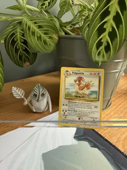 Pokemon TCG Pidgeotto Base Set 22/102 Regular Unlimited Rare LP ✨ - Image 1