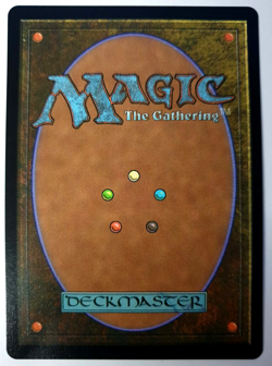 Lulu, Stern Guardian - Chocobo Track FOIL Borderless - MTG Final Fantasy 0467 NM - Image 2