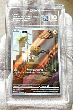 POP 2 - 2025 Pokemon English White Flare - Joltik 116/086 IR - TAG 10 - PSA CGC - Image 2