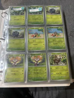 Twilight Mascarade Base Set All Cards Sleeved Rh,halo,exs,apex Cards 302 Cards - Image 1