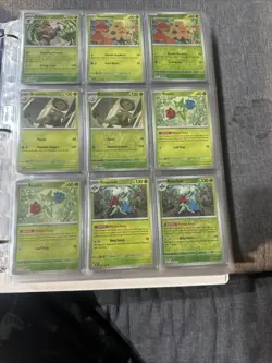 Twilight Mascarade Base Set All Cards Sleeved Rh,halo,exs,apex Cards 302 Cards - Image 2