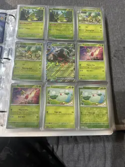 Twilight Mascarade Base Set All Cards Sleeved Rh,halo,exs,apex Cards 302 Cards - Image 3
