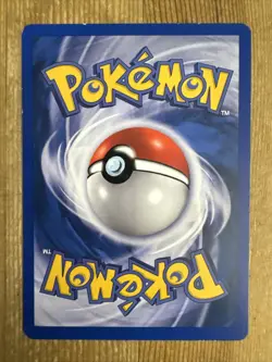 Pokemon TCG Torchic EX Dragon 77/97 Regular Common LP ITALIAN - Image 2