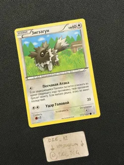 RUSSIAN Pokemon XY Primal Clash - Zigzagoon - 111/160 - Non Holo Common - M/NM - Image 3