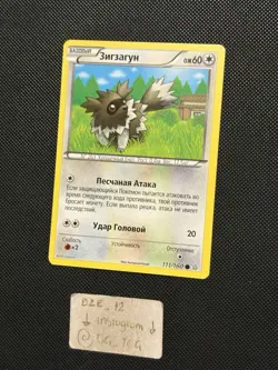 RUSSIAN Pokemon XY Primal Clash - Zigzagoon - 111/160 - Non Holo Common - M/NM - Image 4