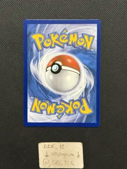 RUSSIAN Pokemon XY Primal Clash - Zigzagoon - 111/160 - Non Holo Common - M/NM - Image 5