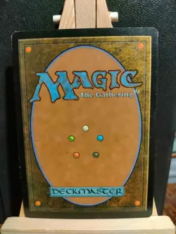 Cursecatcher - Shadowmoor - Uncommon - Excellent / LP (see pics) - MTG - Image 2