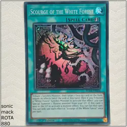 Scourge of the White Forest - ROTA-EN056 - Super Rare 1st Edition Yugioh - Image 1