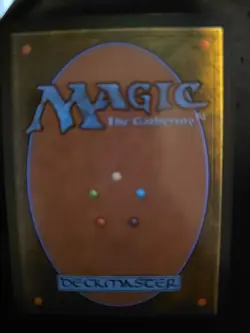 MTG Swamp L (0849) (Surge Foil) Universes Beyond: Fallout - Image 2