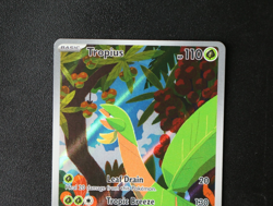 Pokemon Card TCG - Tropius 195/193 - Paldea Evolved - Illustration Rare - NM ⭐ - Image 2