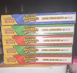 5 Pokemon Mega Evolution Ascended Heroes ex Box Mega Feraligatr Meganium Emboar - Image 1