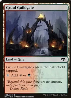 MTG 2019 GRUUL GUILDGATE 249/259 - LAND - Magic the Gathering card - Image 1