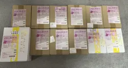 Pokemon TCG Japanese Lot 53 Boxes (47 Boosters + 6 Special) + Singles From Japan - Image 3
