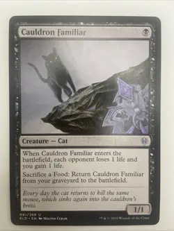 MTG Magic the Gathering Cauldron Familiar (81/477) Throne of Eldraine NM - Image 1