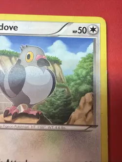 2011 Black & White Base Set Pidove 84/114 - Image 3