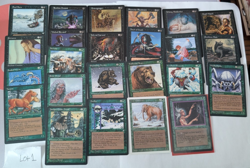 Magic the Gathering - Vintage Lots of 24x cards - White Green Black - 1990's - Image 1