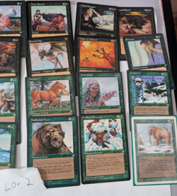 Magic the Gathering - Vintage Lots of 24x cards - White Green Black - 1990's - Image 5